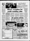 Hertford Mercury and Reformer Friday 01 January 1982 Page 15