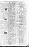 Cambridge Daily News Wednesday 06 February 1901 Page 3