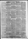 Leicester Daily Mercury Saturday 21 February 1874 Page 4
