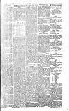 Leicester Daily Mercury Wednesday 03 November 1875 Page 3