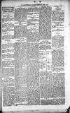 Leicester Daily Mercury Thursday 29 June 1876 Page 3