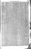Leicester Daily Mercury Wednesday 24 January 1877 Page 3