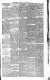 Leicester Daily Mercury Saturday 04 August 1877 Page 3