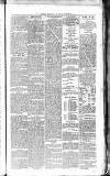 Leicester Daily Mercury Monday 03 December 1877 Page 3