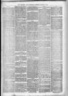 Leicester Daily Mercury Saturday 09 March 1878 Page 4
