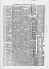 Leicester Daily Mercury Saturday 17 January 1880 Page 6