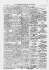 Leicester Daily Mercury Saturday 17 April 1880 Page 8