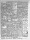 Leicester Daily Mercury Saturday 09 November 1918 Page 7