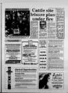 Leicester Daily Mercury Tuesday 30 January 1990 Page 13