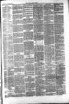 Bury Free Press Saturday 14 February 1891 Page 3