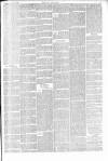 Bury Free Press Saturday 08 April 1899 Page 5