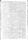 Bury Free Press Saturday 24 March 1900 Page 4