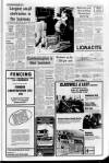 Bury Free Press Friday 01 April 1977 Page 17