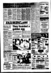 Bury Free Press Friday 16 April 1982 Page 15