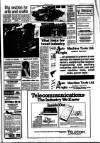 Bury Free Press Friday 04 June 1982 Page 17