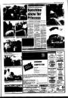 Bury Free Press Friday 11 June 1982 Page 13