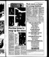 Bury Free Press Friday 07 February 1992 Page 17