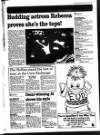 Bury Free Press Friday 02 April 1993 Page 83
