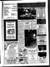 Bury Free Press Friday 02 April 1993 Page 93
