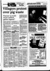 Bury Free Press Friday 11 February 1994 Page 19