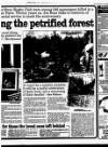 Bury Free Press Friday 25 February 1994 Page 19