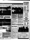Bury Free Press Friday 20 January 1995 Page 19