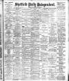 Sheffield Independent Friday 07 November 1902 Page 1