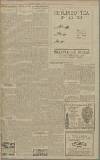 Folkestone, Hythe, Sandgate & Cheriton Herald Saturday 20 January 1917 Page 7