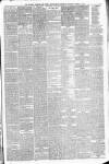 Walsall Observer Saturday 14 August 1875 Page 3