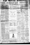 Walsall Observer Saturday 02 February 1878 Page 1