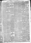 Walsall Observer Saturday 12 April 1879 Page 3
