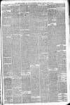 Walsall Observer Saturday 15 April 1876 Page 3