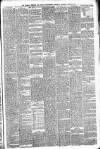 Walsall Observer Saturday 22 April 1876 Page 3