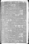 Walsall Observer Saturday 20 April 1878 Page 3