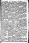 Walsall Observer Saturday 20 July 1878 Page 3