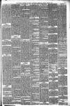 Walsall Observer Saturday 22 March 1879 Page 3