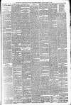 Walsall Observer Saturday 13 March 1880 Page 3