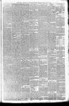 Walsall Observer Saturday 03 April 1880 Page 3