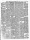 Walsall Observer Saturday 11 June 1881 Page 5
