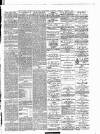Walsall Observer Saturday 18 June 1887 Page 3
