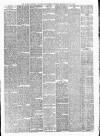 Walsall Observer Saturday 20 January 1894 Page 7