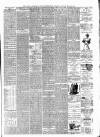 Walsall Observer Saturday 24 March 1894 Page 3