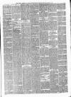 Walsall Observer Saturday 24 March 1894 Page 5