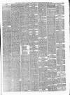 Walsall Observer Saturday 24 March 1894 Page 7
