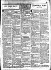 Walsall Observer Saturday 26 December 1925 Page 15