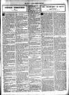 Walsall Observer Saturday 26 December 1925 Page 17