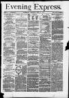 Liverpool Evening Express Tuesday 23 June 1874 Page 1