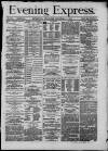 Liverpool Evening Express Thursday 03 December 1874 Page 1