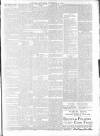 St. Andrews Citizen Saturday 31 December 1892 Page 3