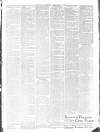 St. Andrews Citizen Saturday 05 January 1895 Page 3